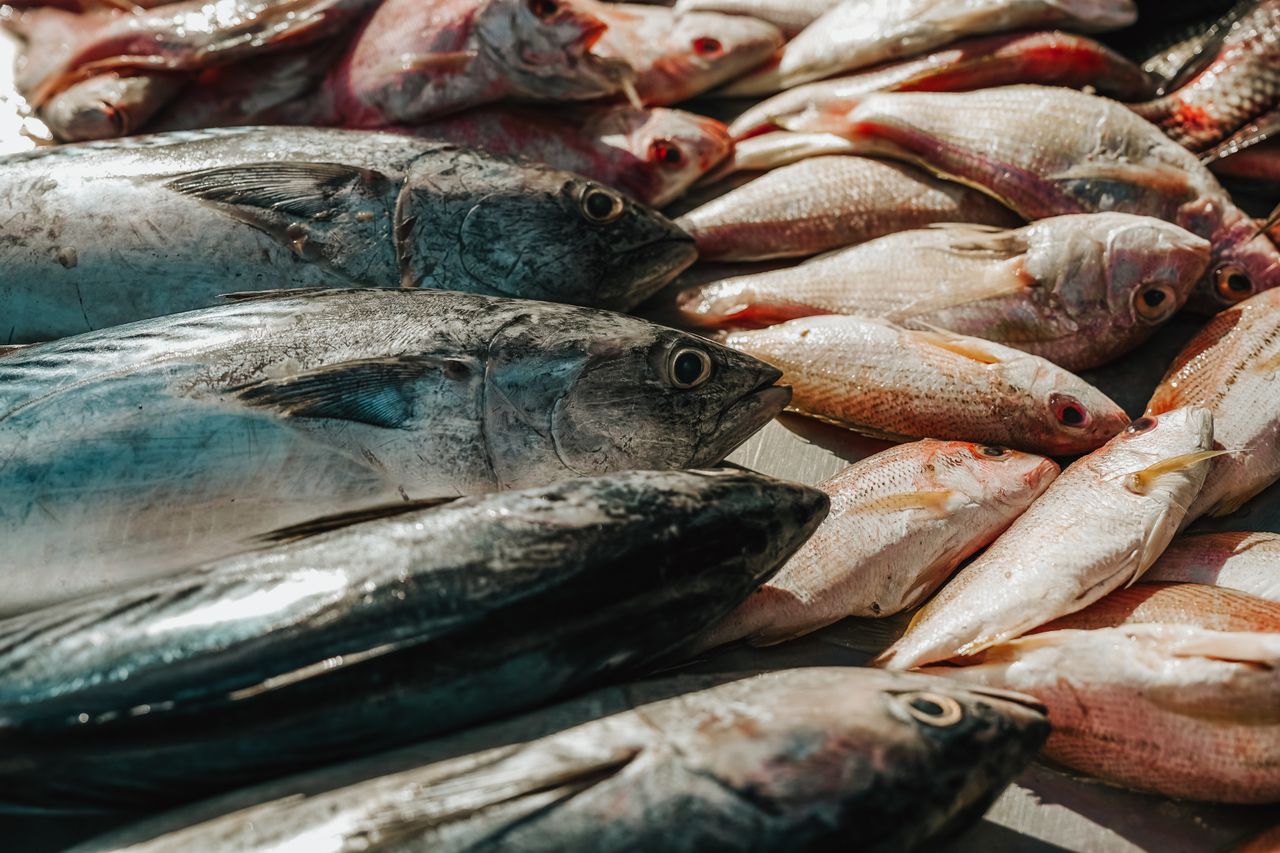 Fresh Mexican Seafood Production