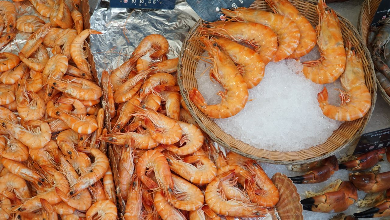 Seafood processing and cold storage facilities