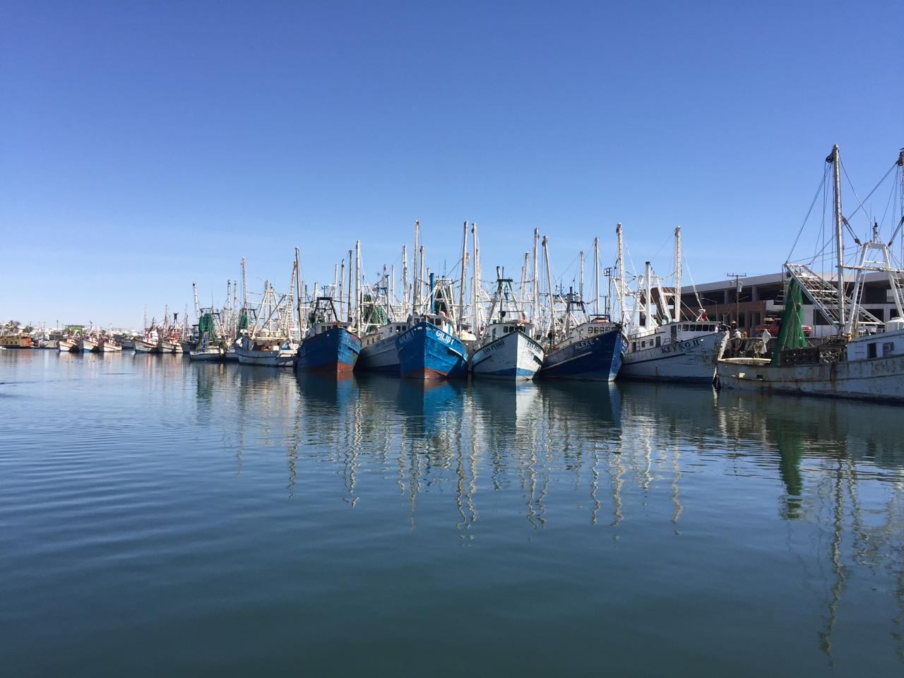 Fresh Mexican Seafood Production